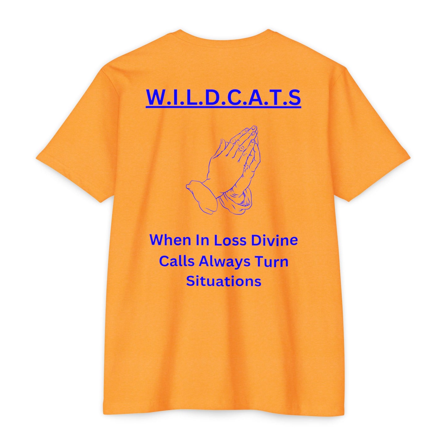 Wildcats Christian Blue Letters & Picture