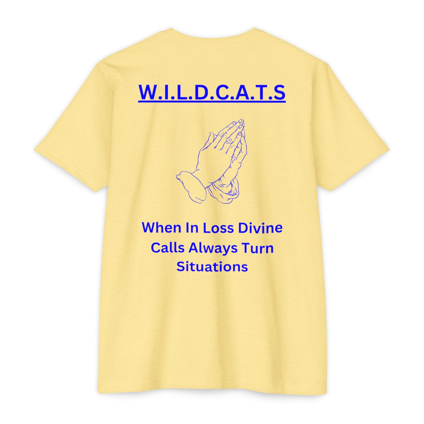 Wildcats Christian Blue Letters & Picture