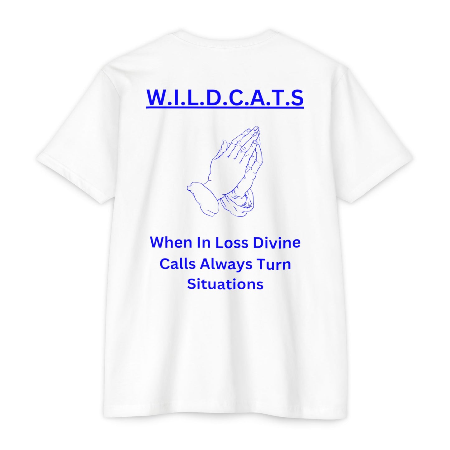 Wildcats Christian Blue Letters & Picture