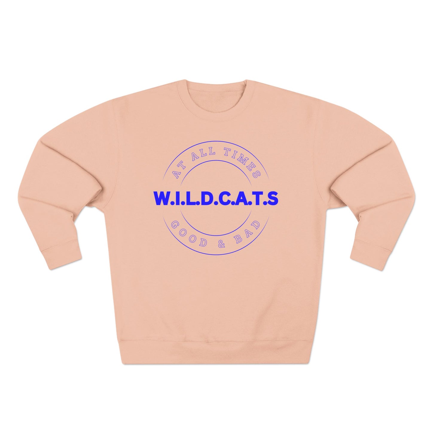 Wildcats Christian Blue Letters & Picture Crewneck