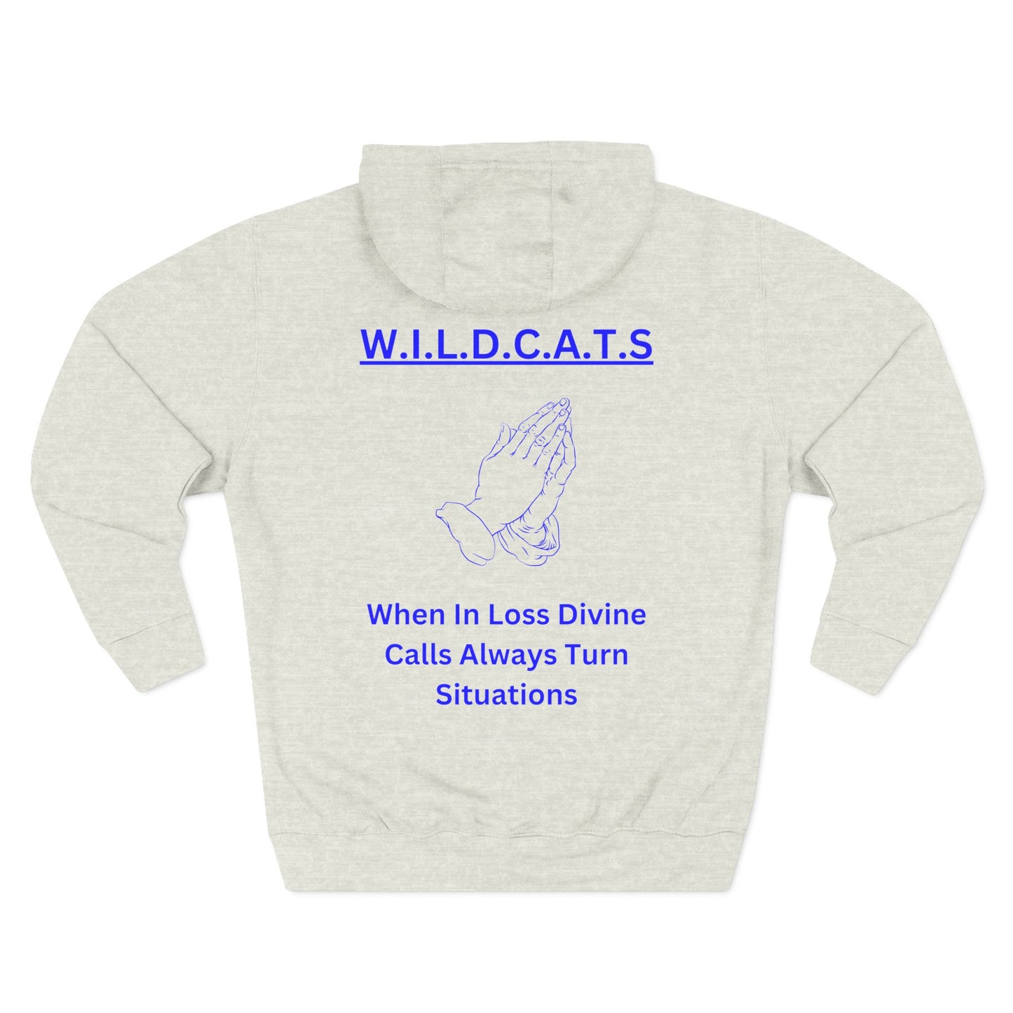 Wildcats Christian Blue Letters & Picture Hoodie