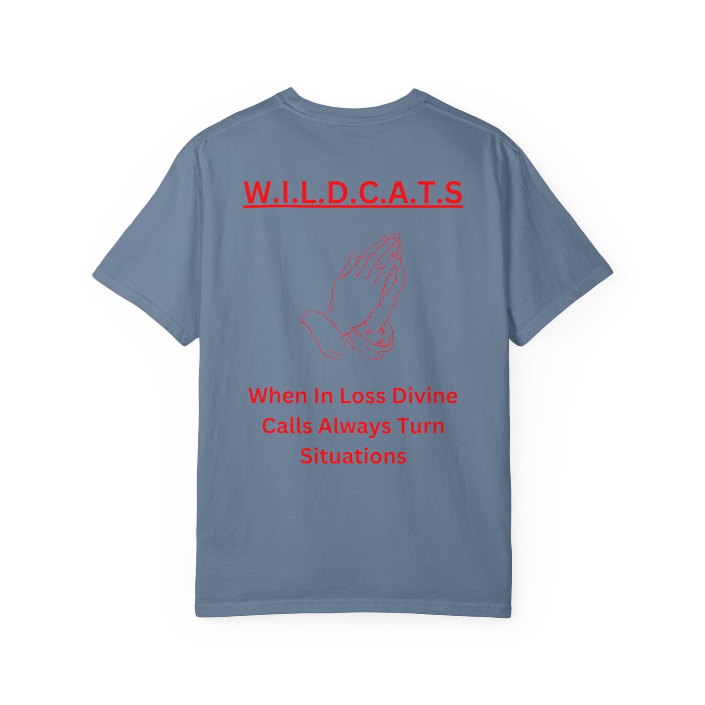 Wildcats Christian Red Letters & Picture