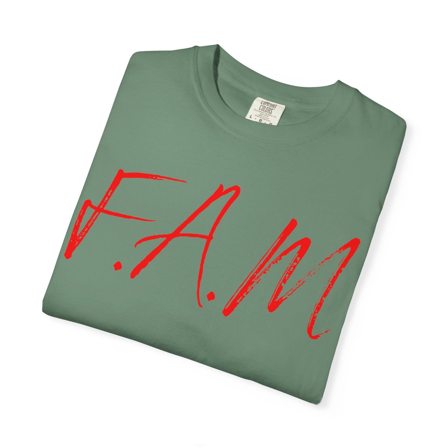 Fam Christian Red Letters & Image
