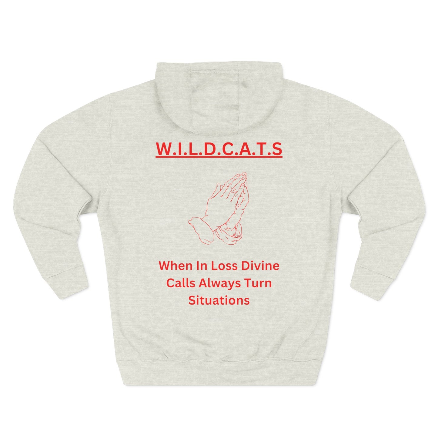 Wildcats Christian Red Letters & Picture Hoodie