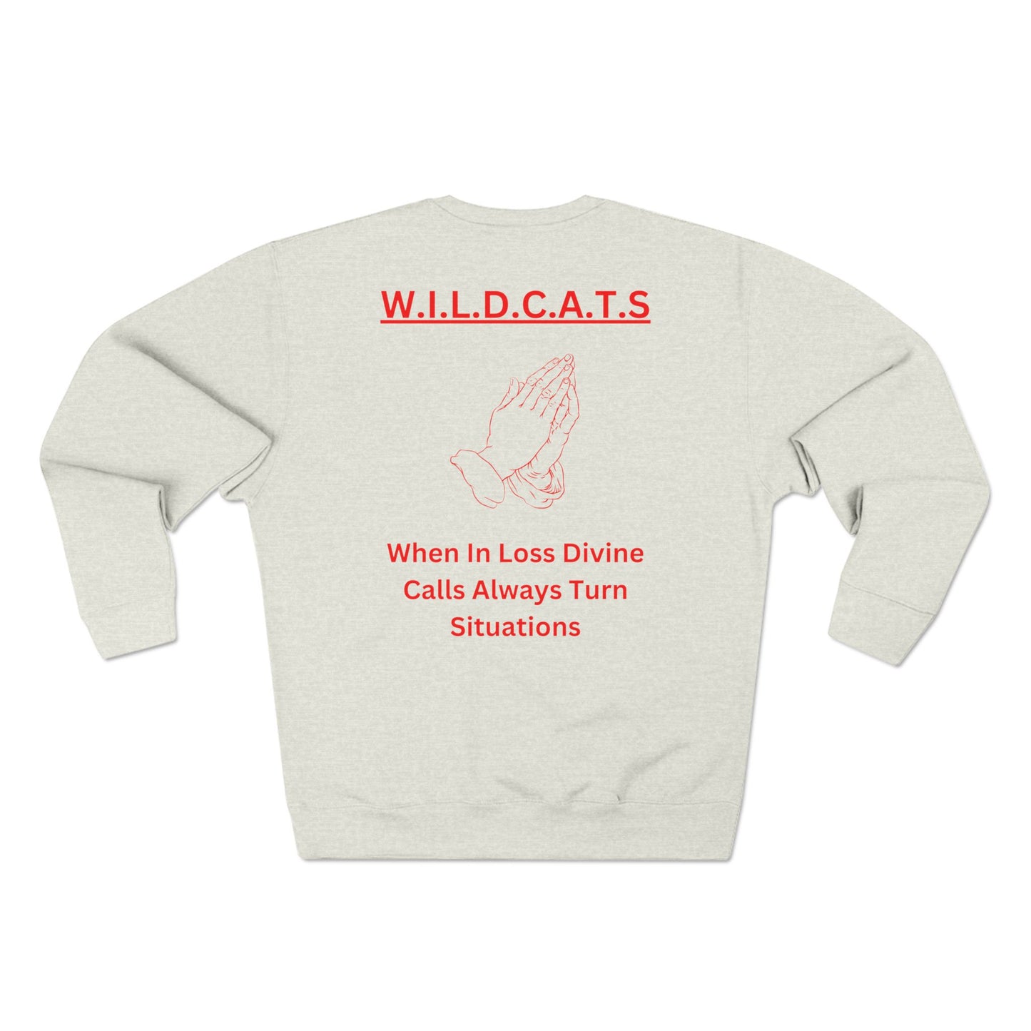 Wildcats Christian Red Letters & Picture Crewneck