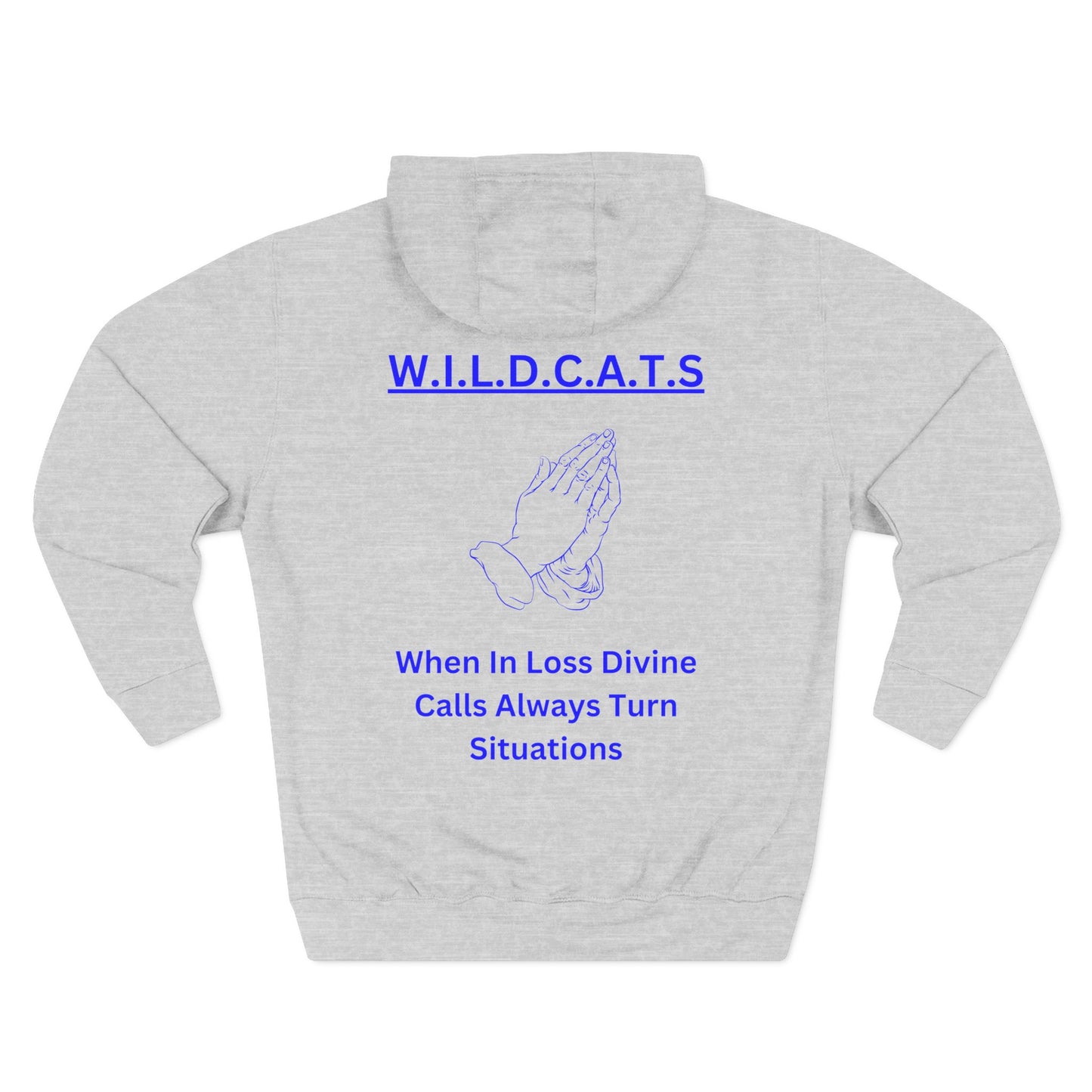 Wildcats Christian Blue Letters & Picture Hoodie