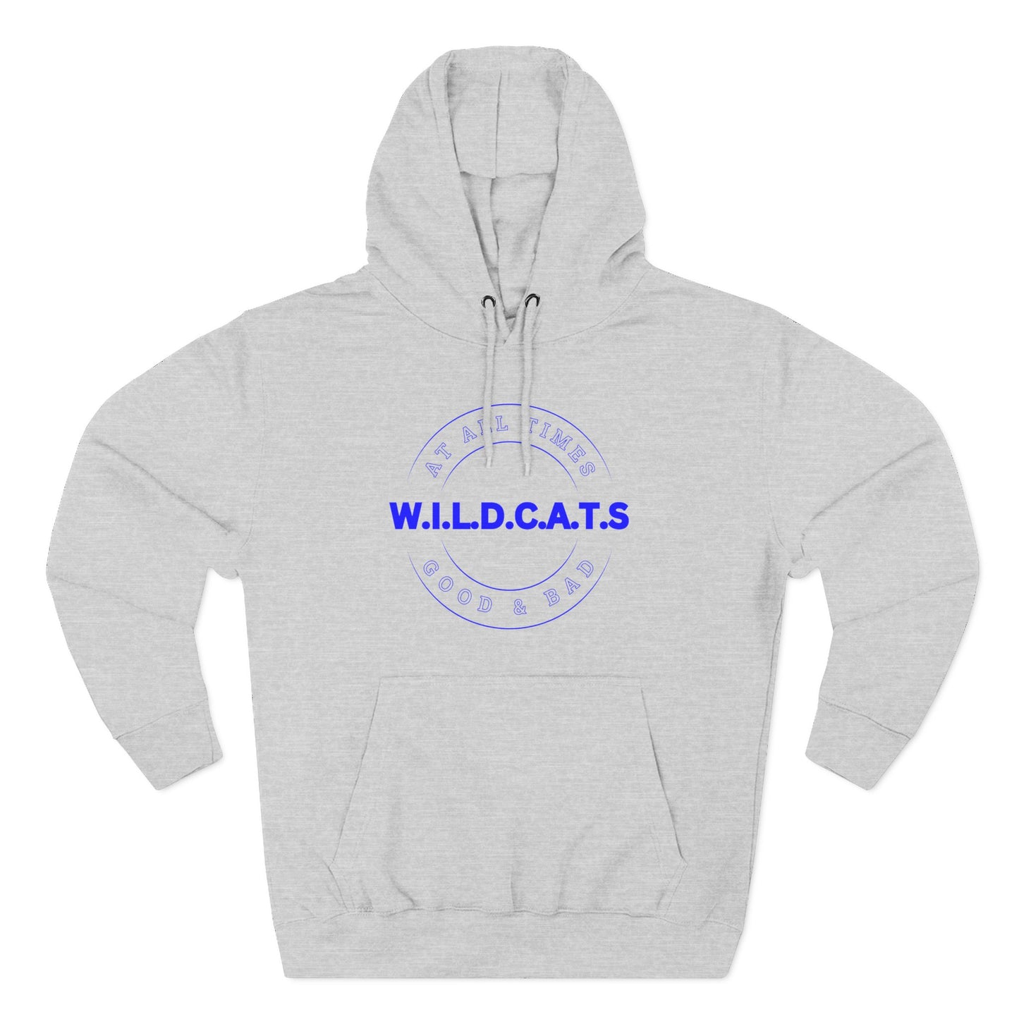 Wildcats Christian Blue Letters & Picture Hoodie