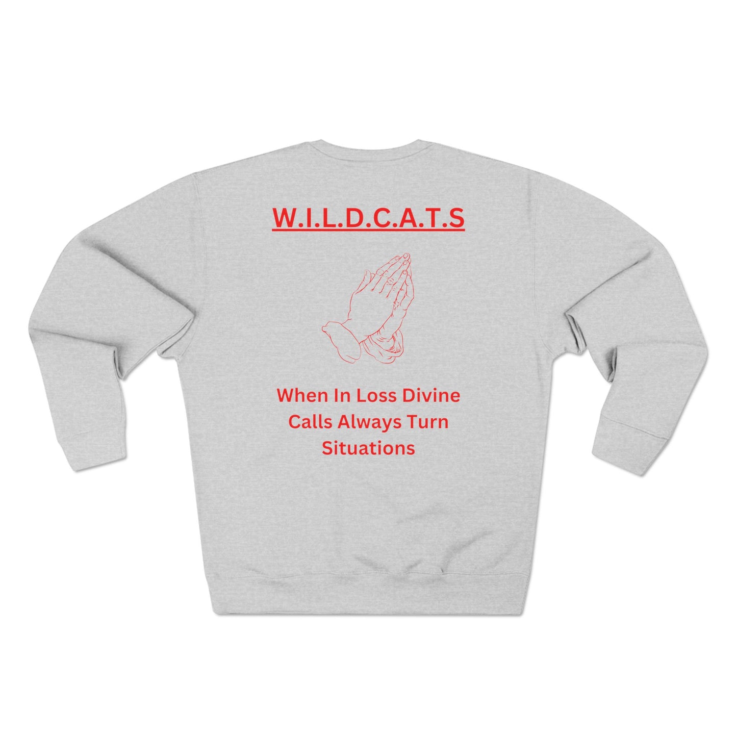 Wildcats Christian Red Letters & Picture Crewneck