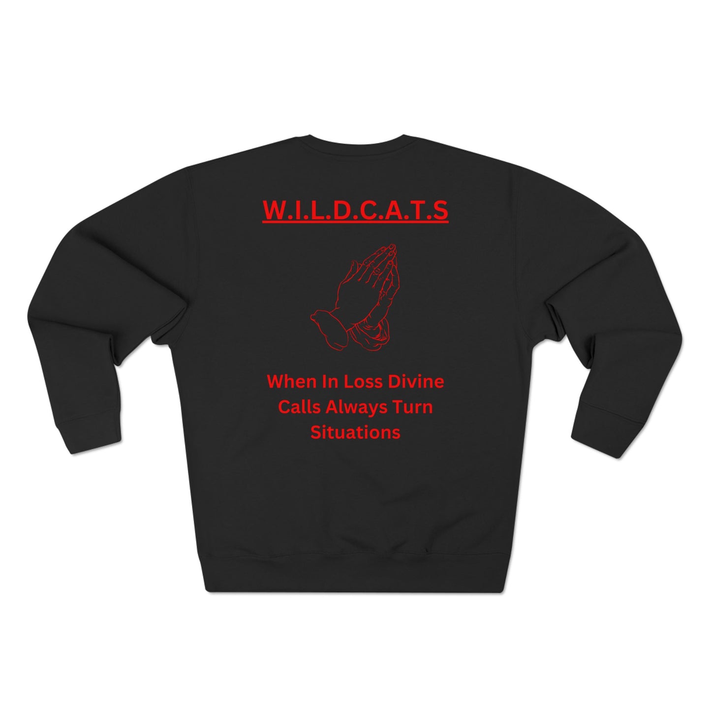 Wildcats Christian Red Letters & Picture Crewneck
