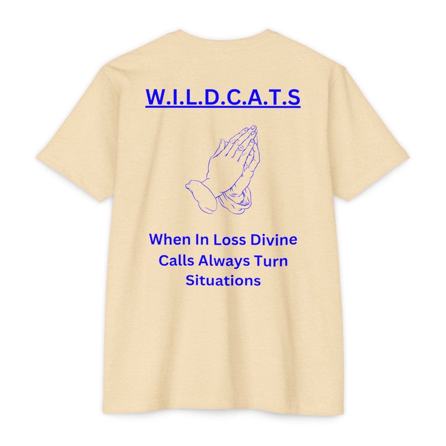 Wildcats Christian Blue Letters & Picture