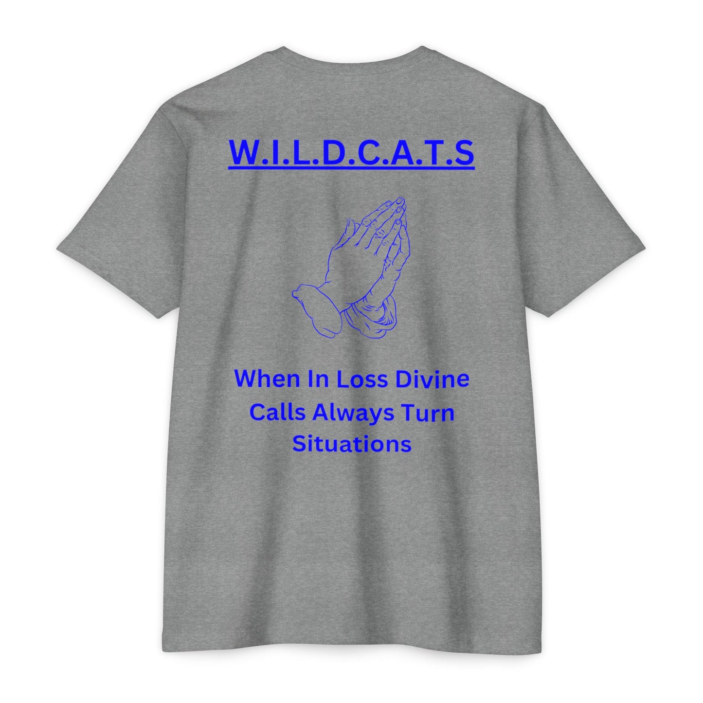 Wildcats Christian Blue Letters & Picture