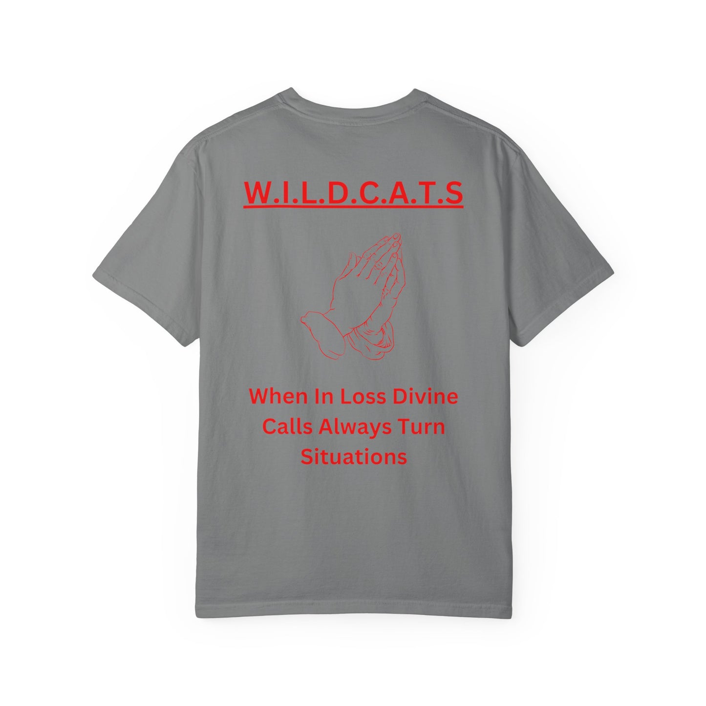 Wildcats Christian Red Letters & Picture