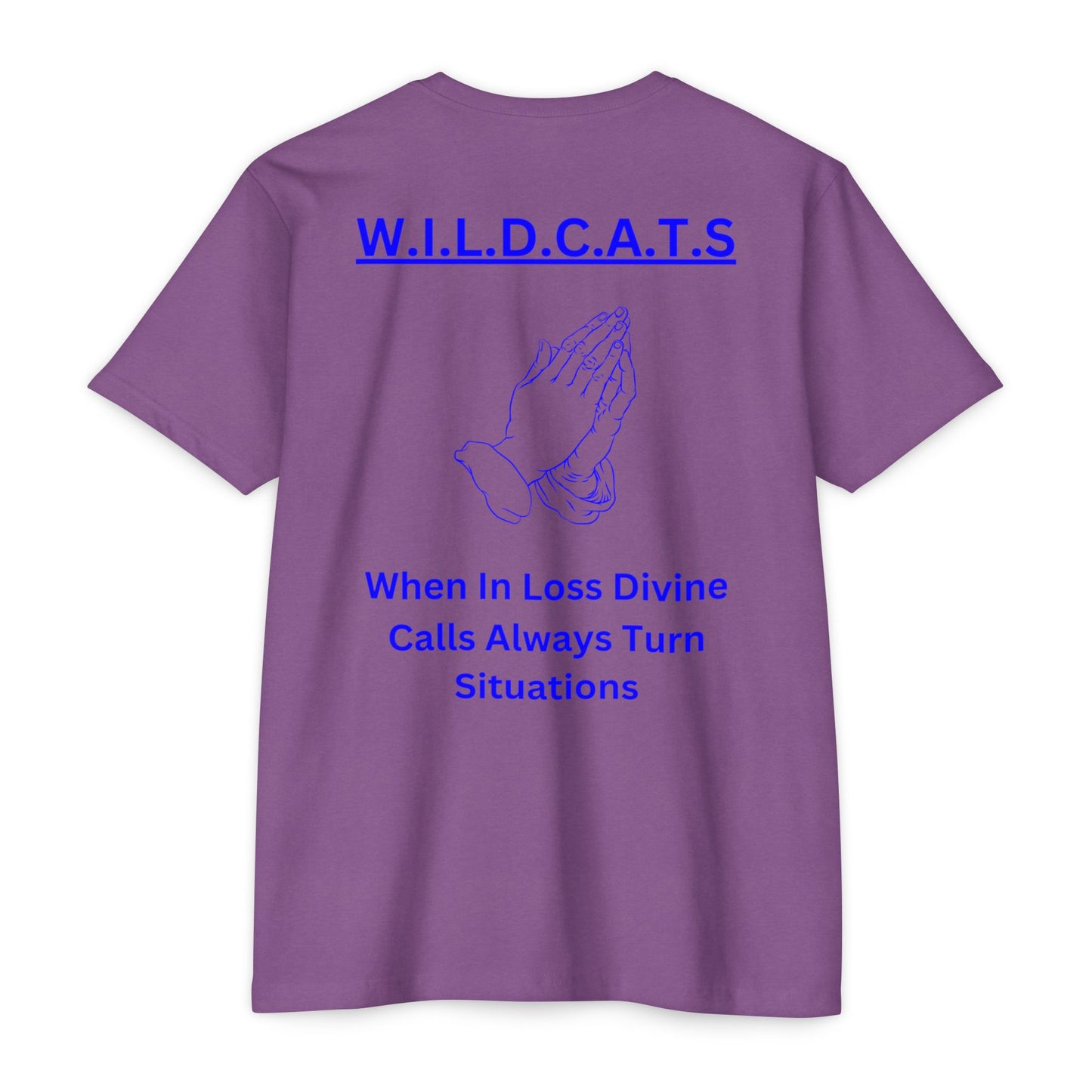 Wildcats Christian Blue Letters & Picture
