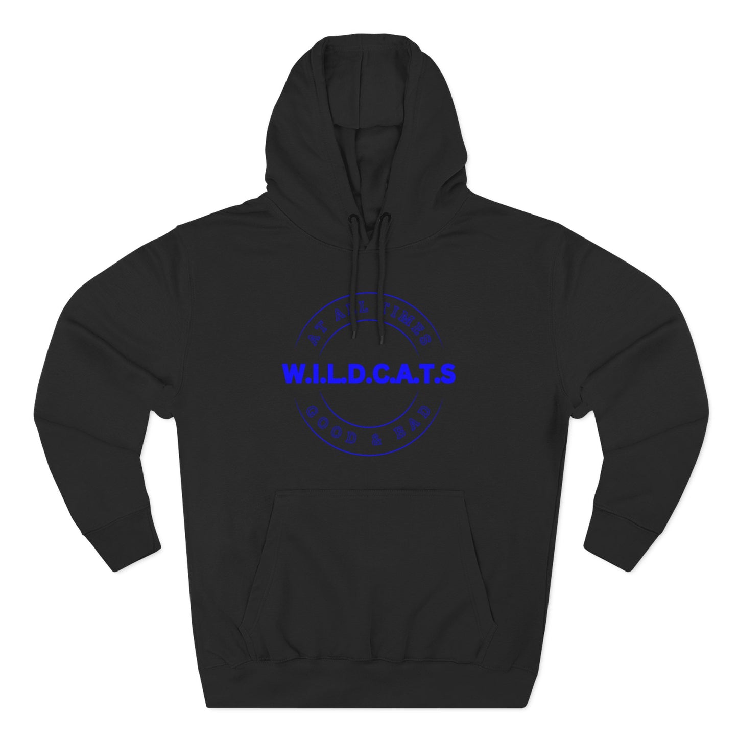 Wildcats Christian Blue Letters & Picture Hoodie