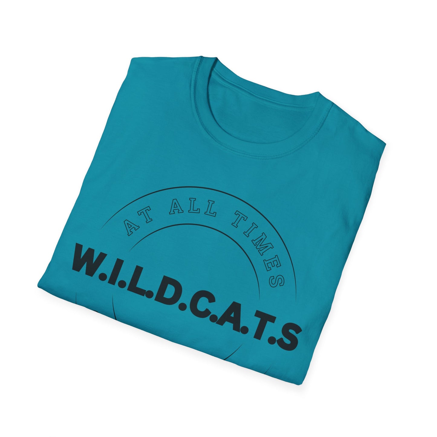 Wildcats Christian Black Letters & Picture