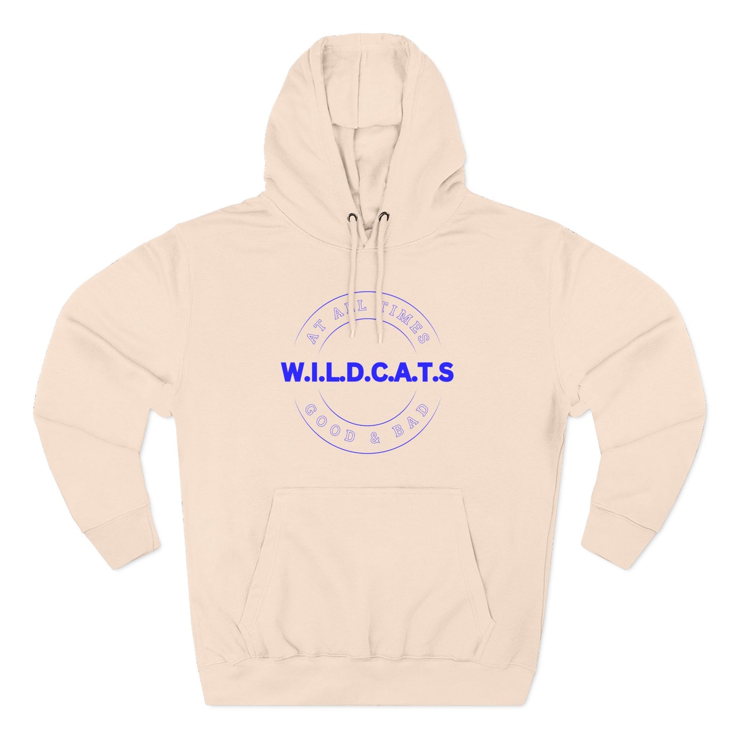 Wildcats Christian Blue Letters & Picture Hoodie