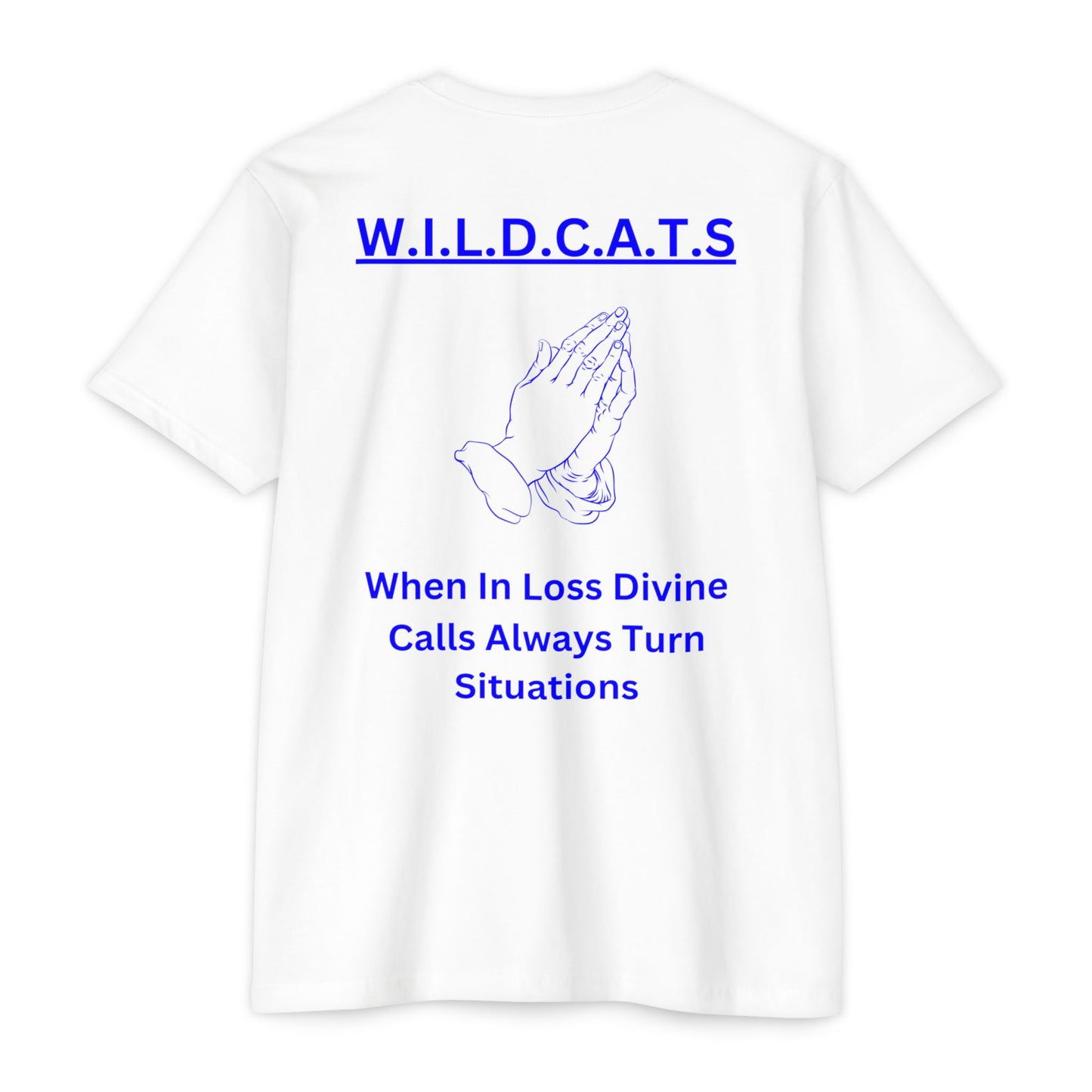 Wildcats Christian Blue Letters & Picture