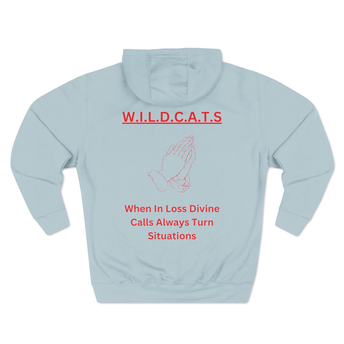 Wildcats Christian Red Letters & Picture Hoodie
