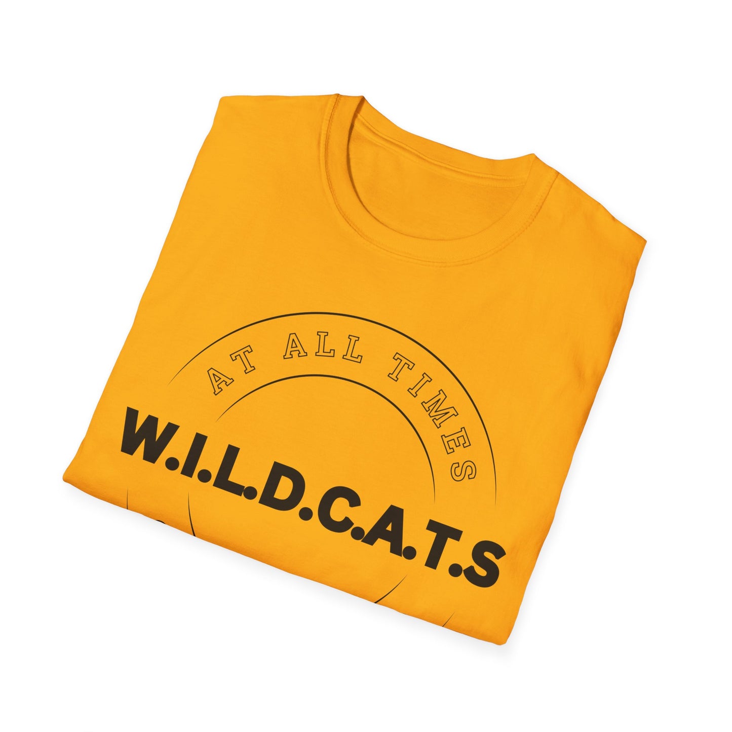 Wildcats Christian Black Letters & Picture