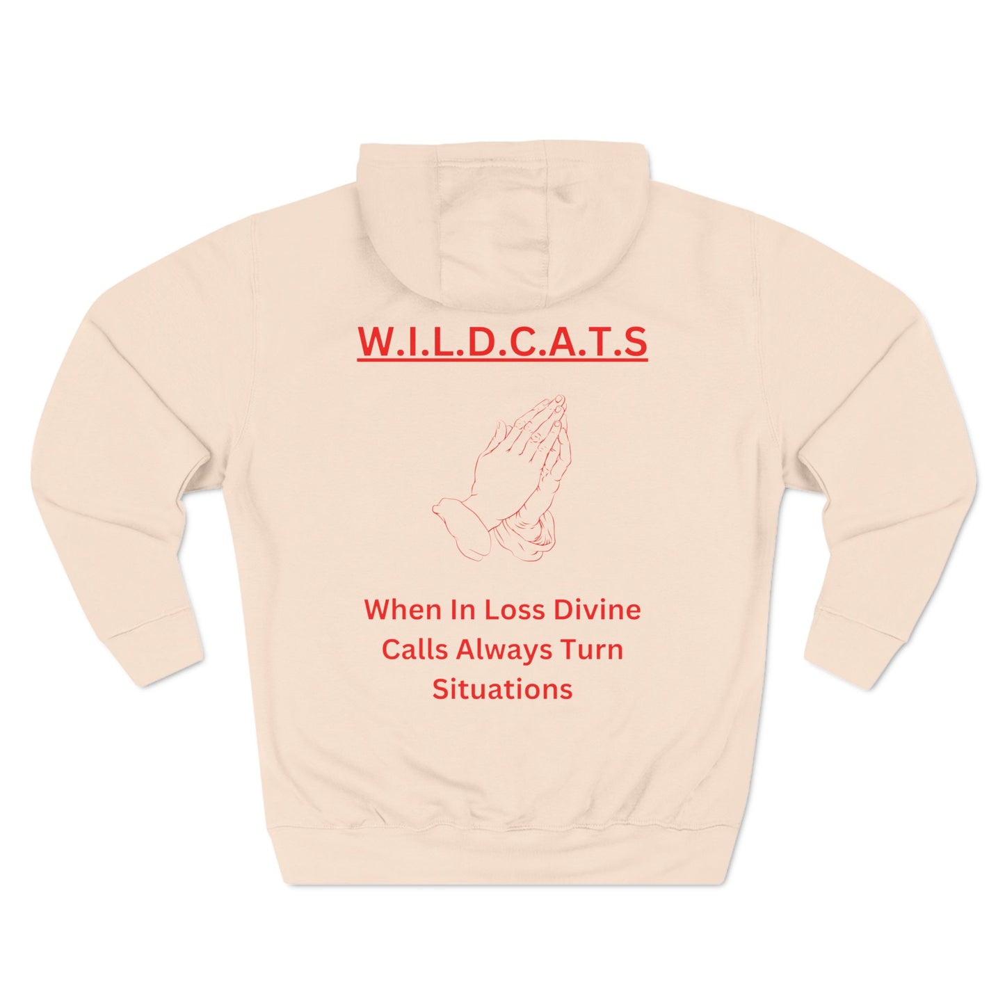 Wildcats Christian Red Letters & Picture Hoodie