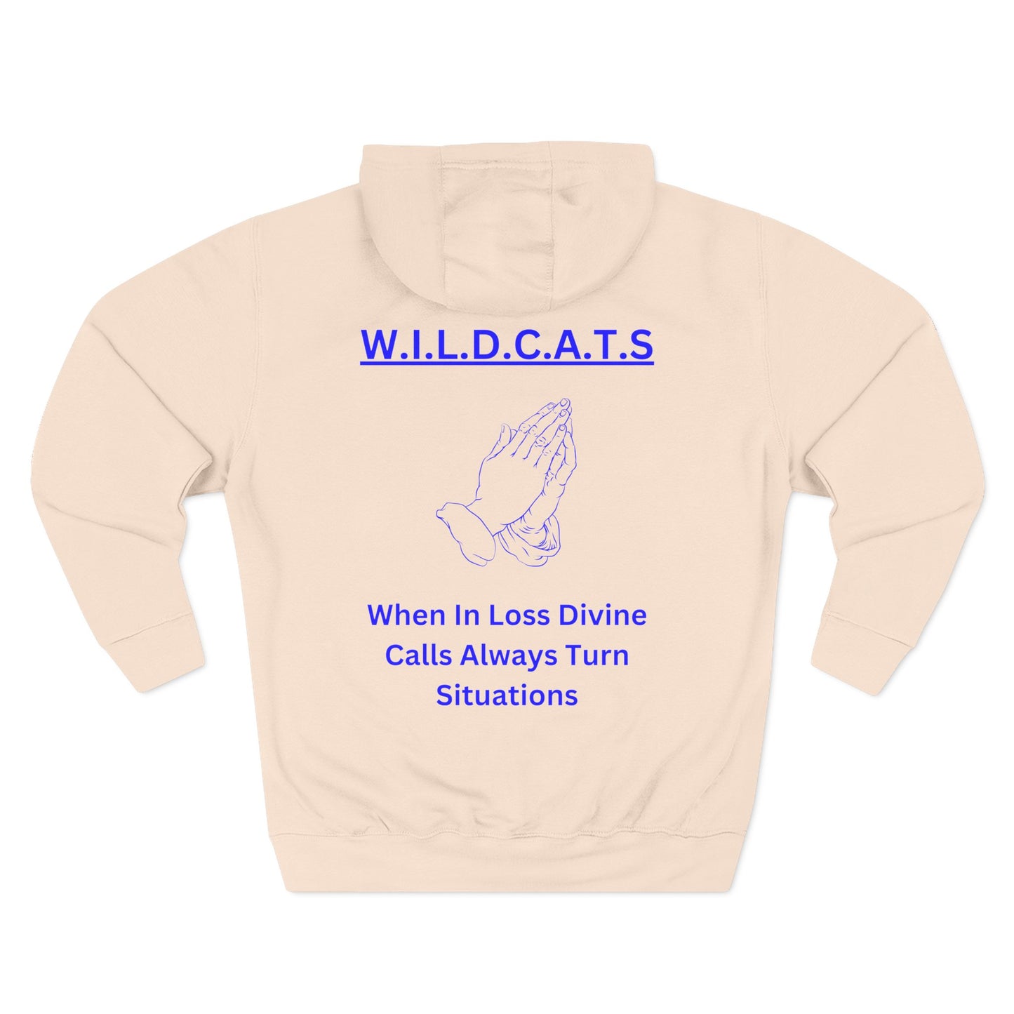 Wildcats Christian Blue Letters & Picture Hoodie