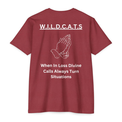Wildcats Christian White Letters & Picture