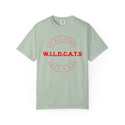Wildcats Christian Red Letters & Picture