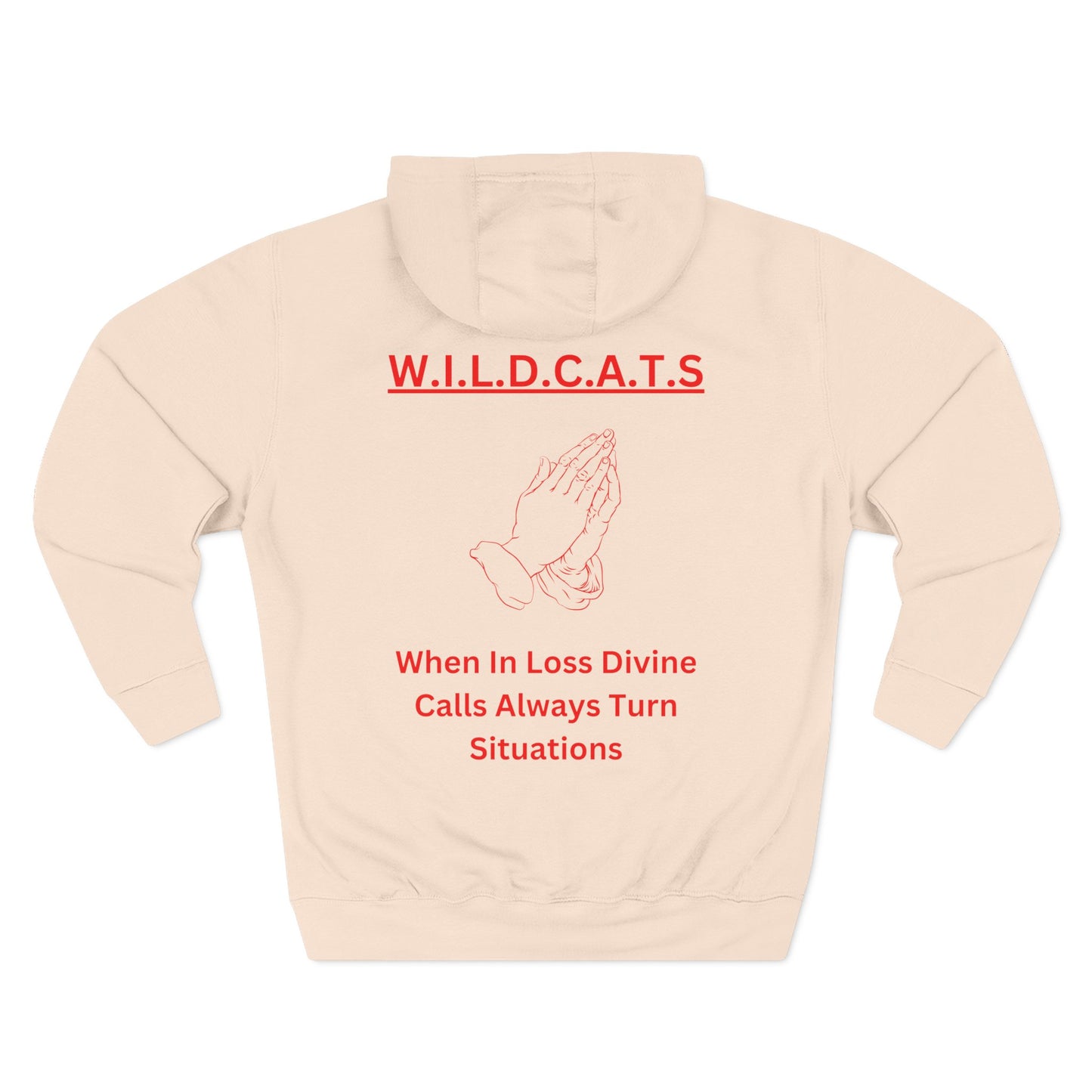 Wildcats Christian Red Letters & Picture Hoodie