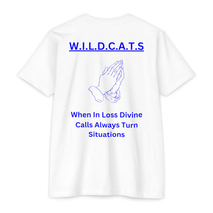 Wildcats Christian Blue Letters & Picture