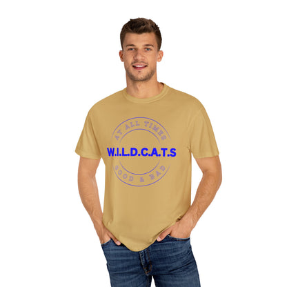 Wildcats Christian Blue Letters & Picture