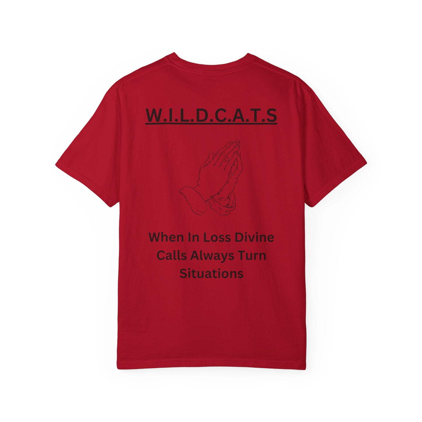 Adult Wildcats Christian Black Letters & Picture Heavyweight