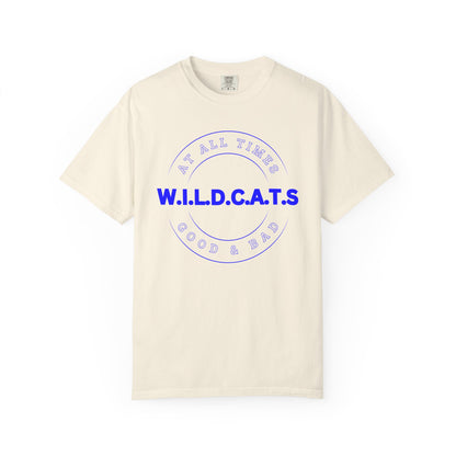 Wildcats Christian Blue Letters & Picture