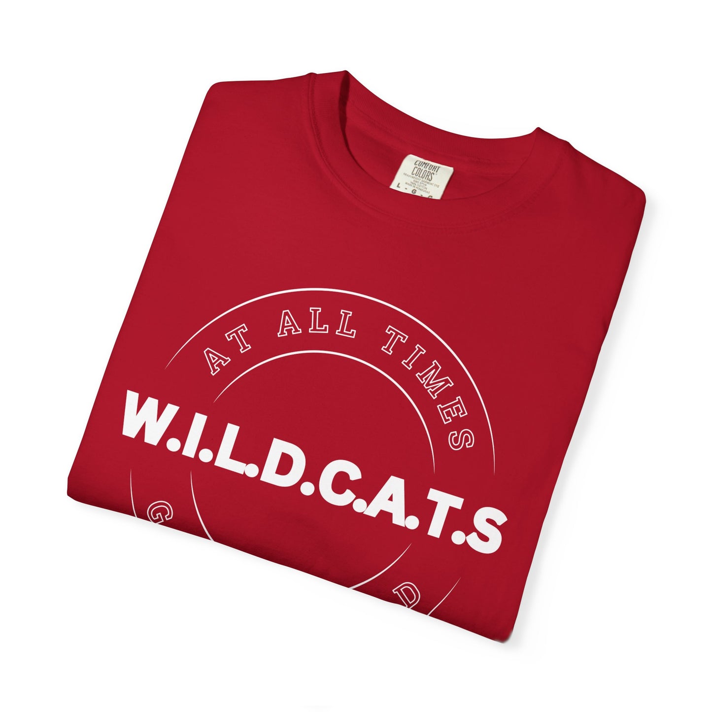 Adult Wildcats Christian White Letters & Picture Heavyweight