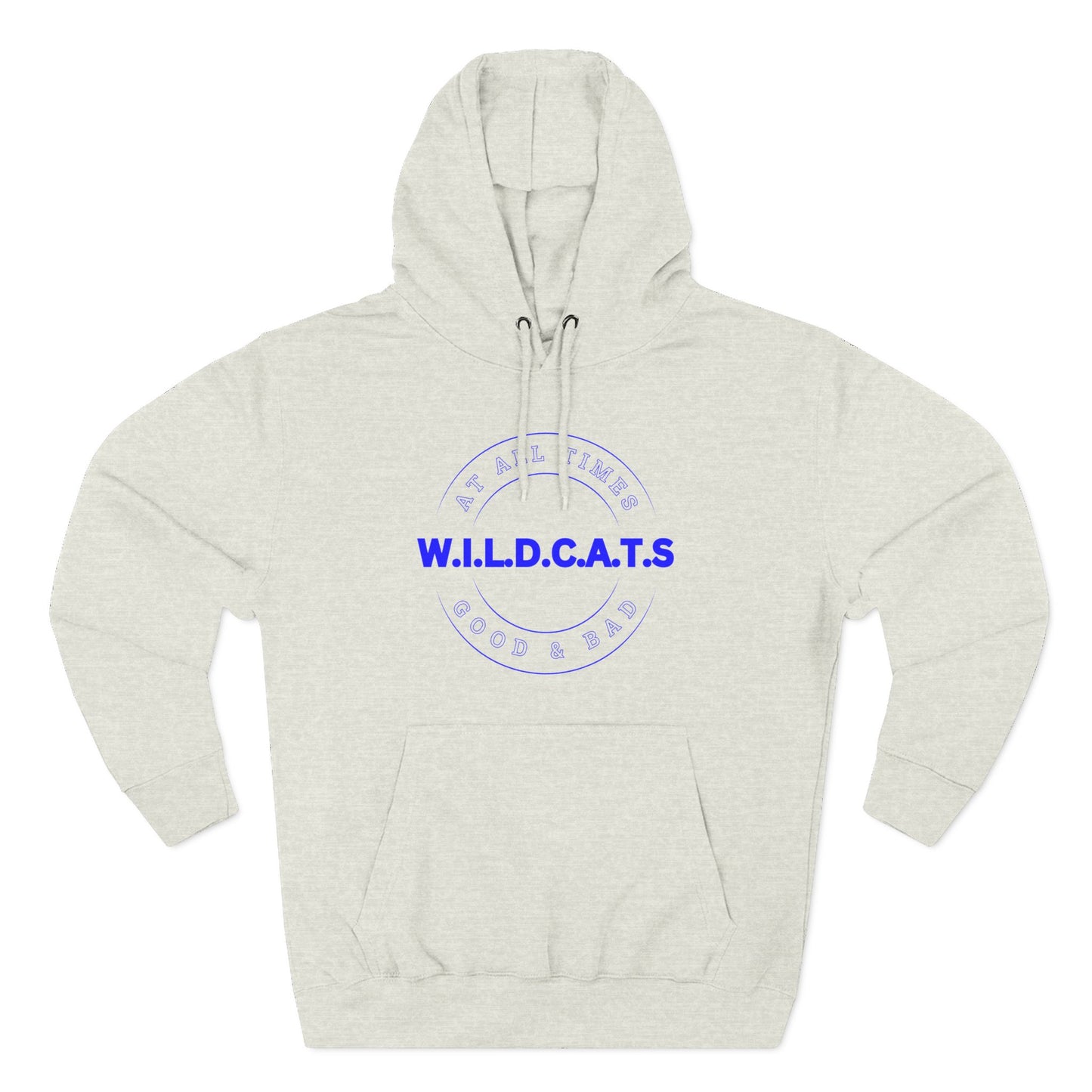 Wildcats Christian Blue Letters & Picture Hoodie