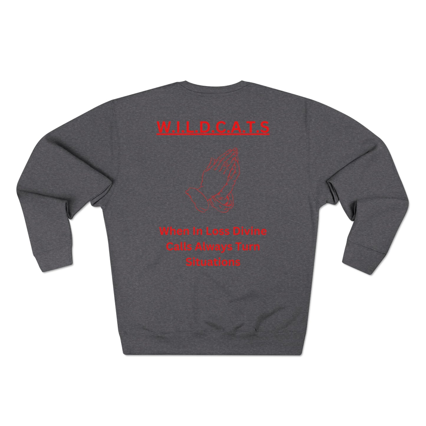 Wildcats Christian Red Letters & Picture Crewneck