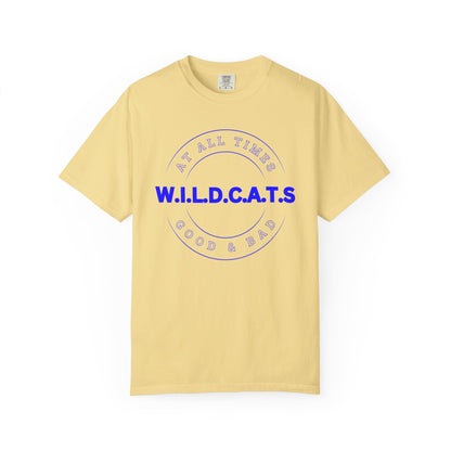 Wildcats Christian Blue Letters & Picture