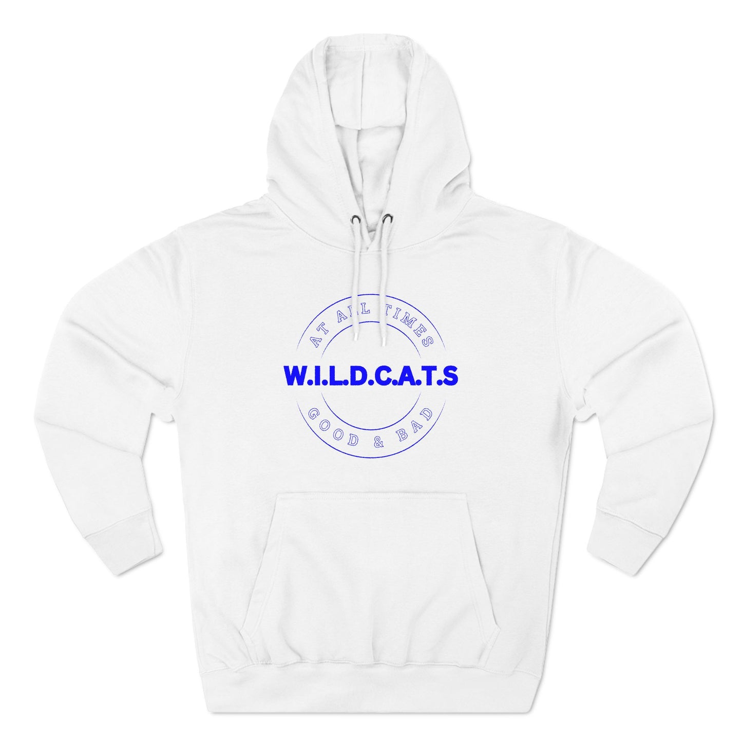 Wildcats Christian Blue Letters & Picture Hoodie