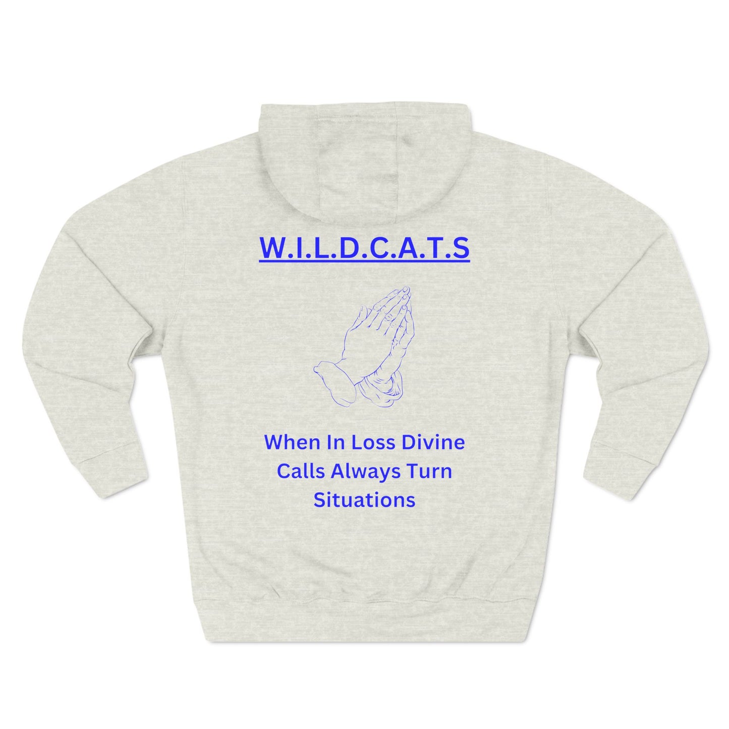Wildcats Christian Blue Letters & Picture Hoodie