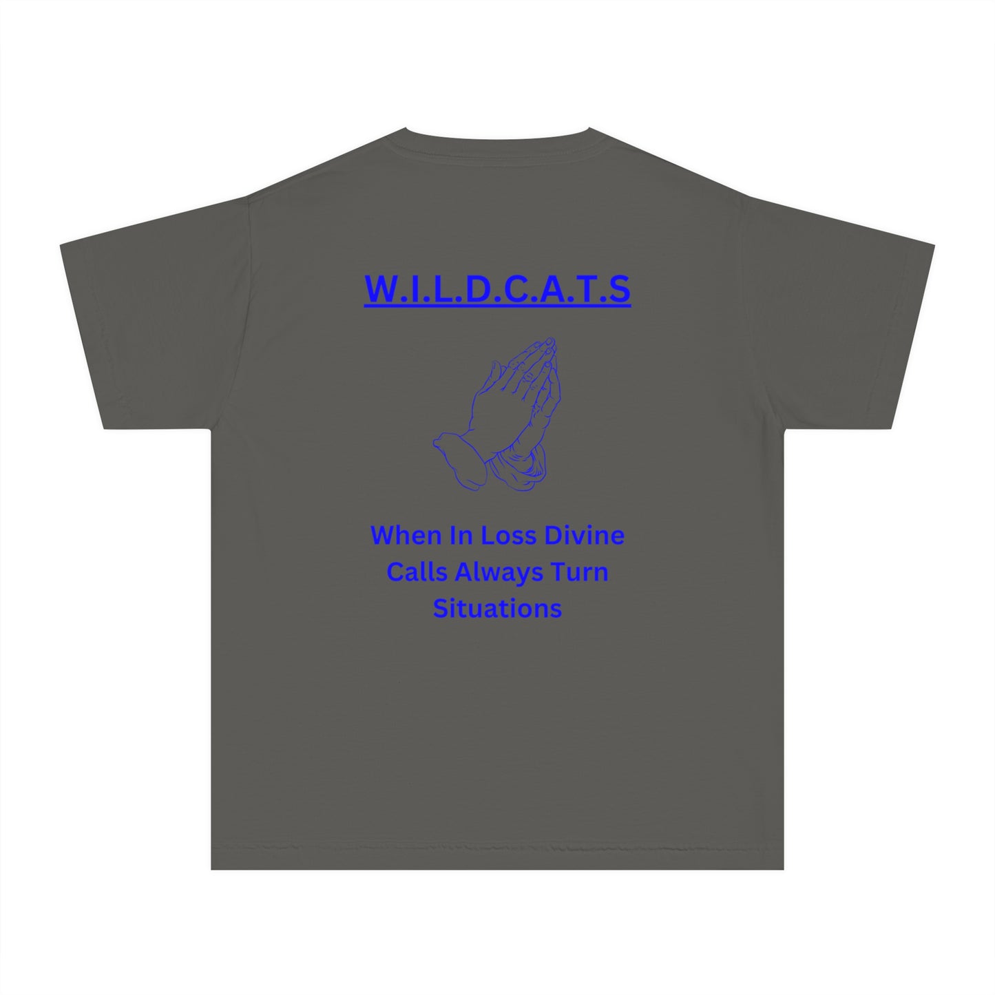 Youth Wildcats Christian Blue Letters & Picture