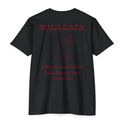 Wildcats Christian Marron Letters & Picture