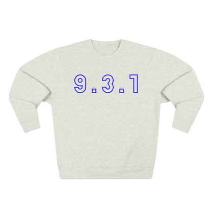 Copy of 931 Blue Hoodie