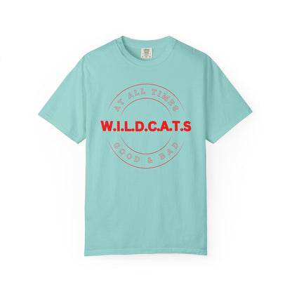 Wildcats Christian Red Letters & Picture