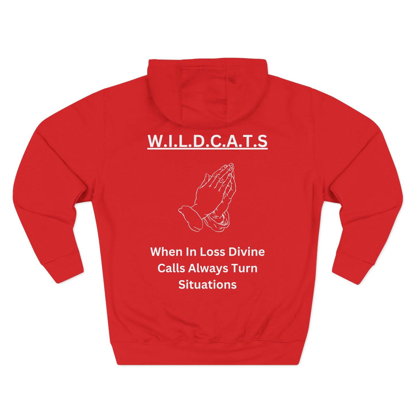 Adult Wildcats Christian White Letters & Picture Pullover Hoodie