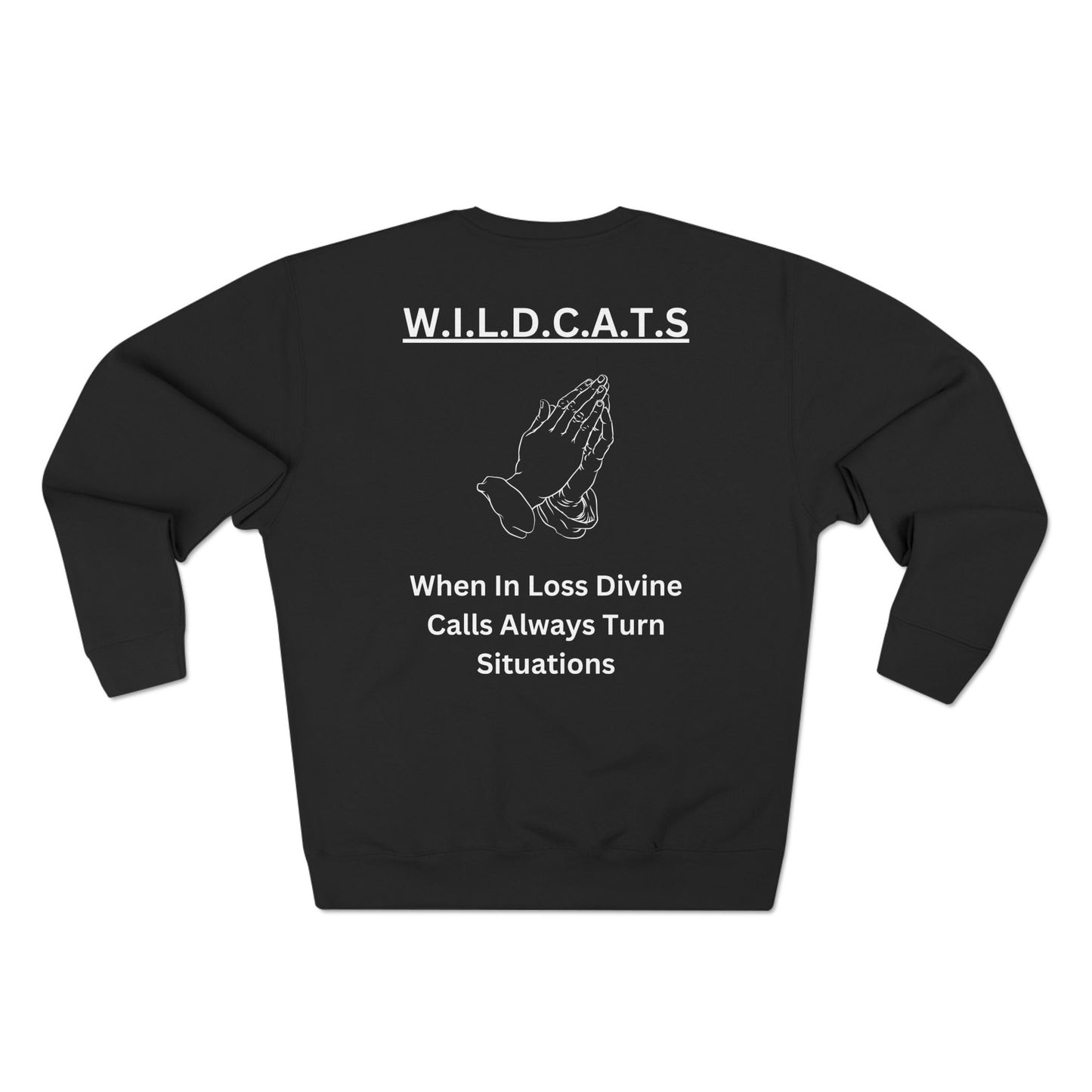 Adult Wildcats Christian White Letters & Picture Crewneck