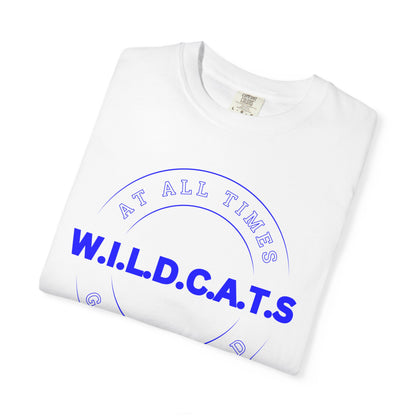 Wildcats Christian Blue Letters & Picture
