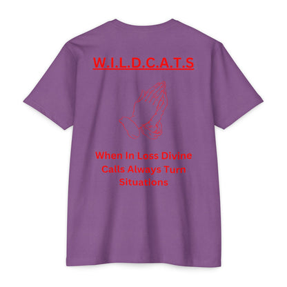 Wildcats Christian Red Letters & Picture