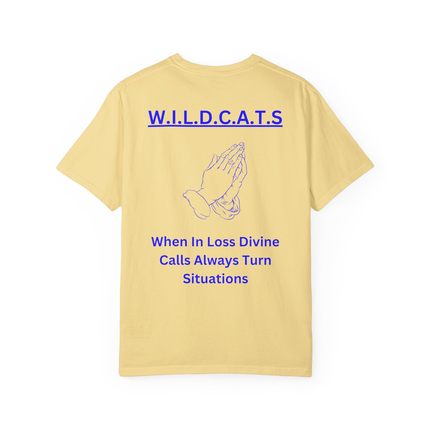 Wildcats Christian Blue Letters & Picture