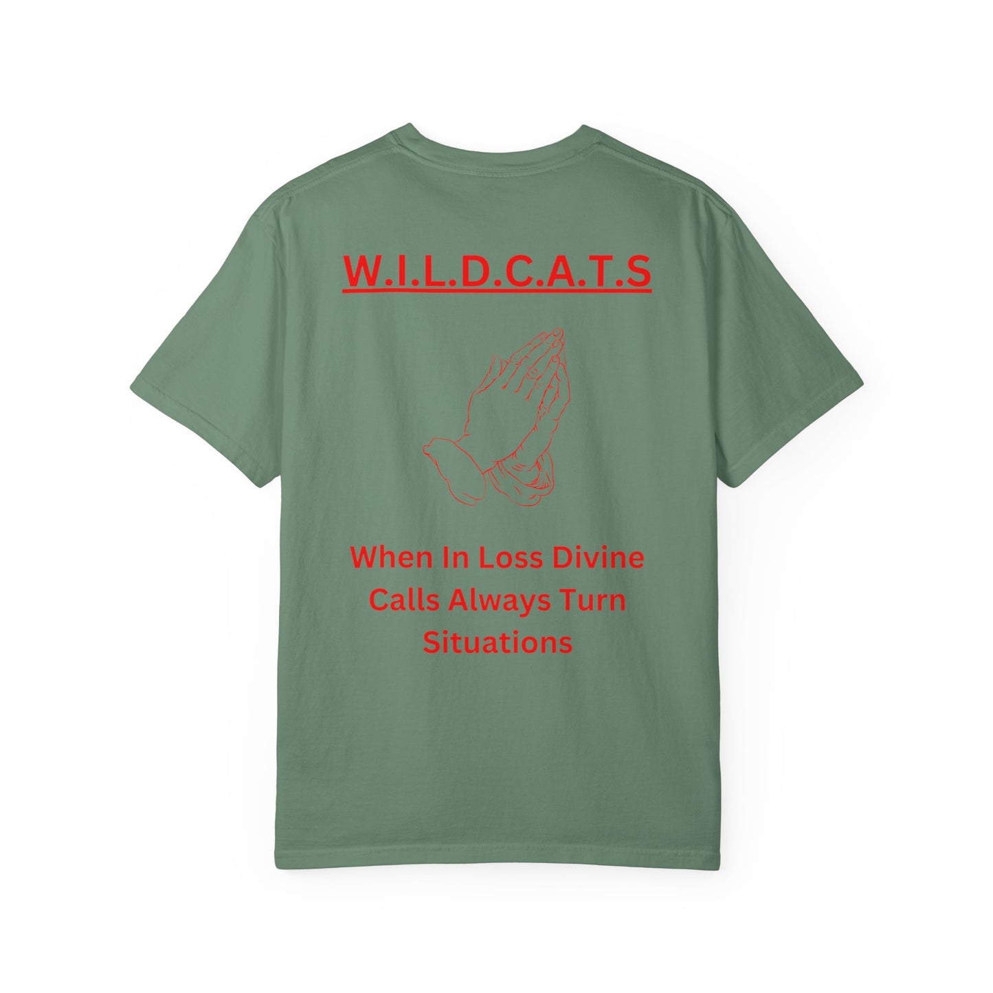 Wildcats Christian Red Letters & Picture