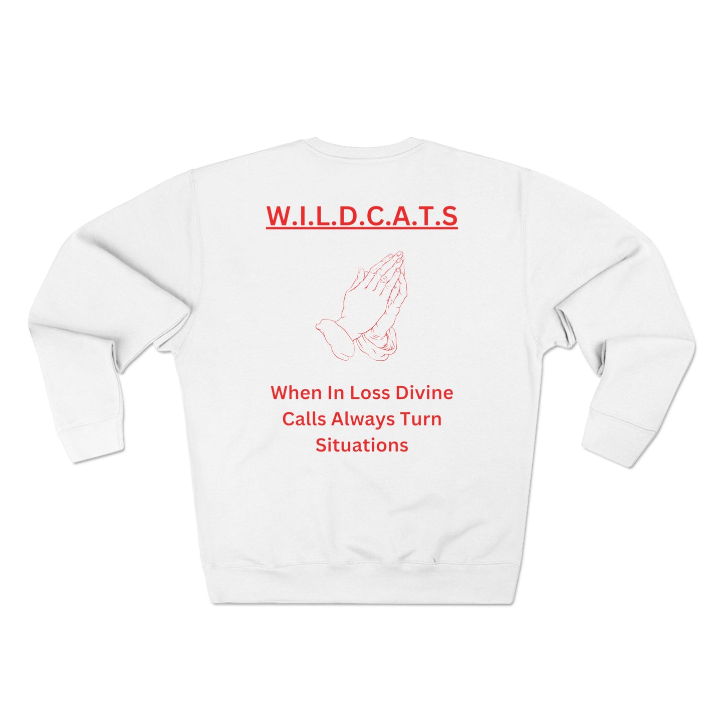 Wildcats Christian Red Letters & Picture Crewneck