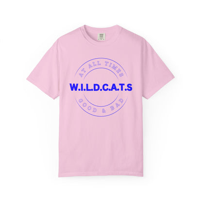 Wildcats Christian Blue Letters & Picture